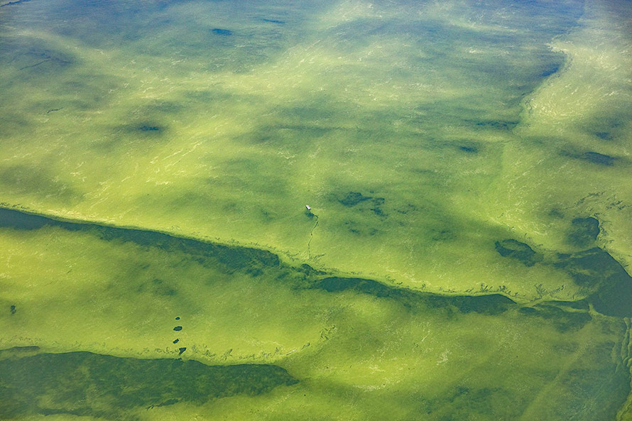 Le Grand Miracle : Hong Kong défie la gravité