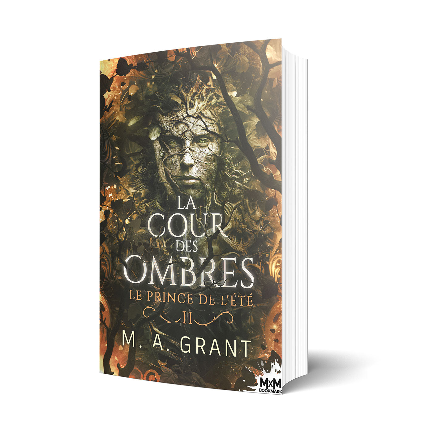 La Cour des Ombres